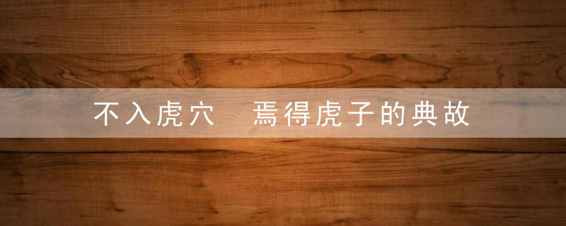 不入虎穴 焉得虎子的典故